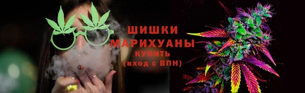 PSILOCYBIN Вяземский